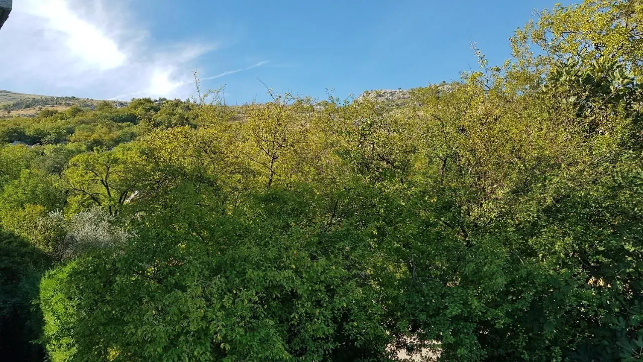 Guest house Rooms Lake View Balani Restaurant Shkoder