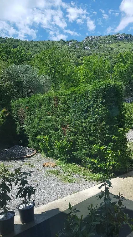 Rooms Lake View Balani Restaurant Shkoder